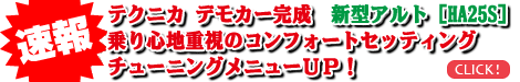 �A���g[HA25S]